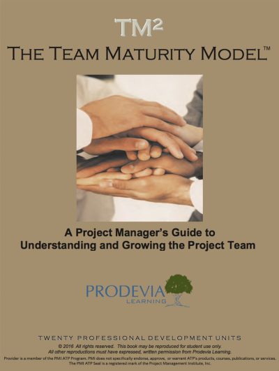 Team Maturity Model (TM2)