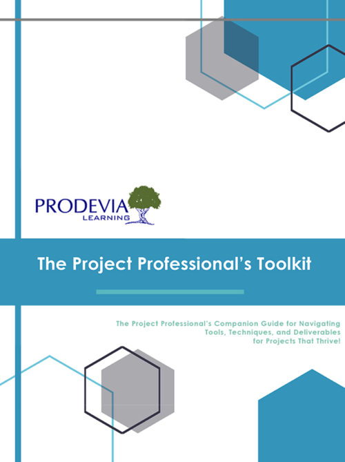 The Project Professional’s Toolkit
